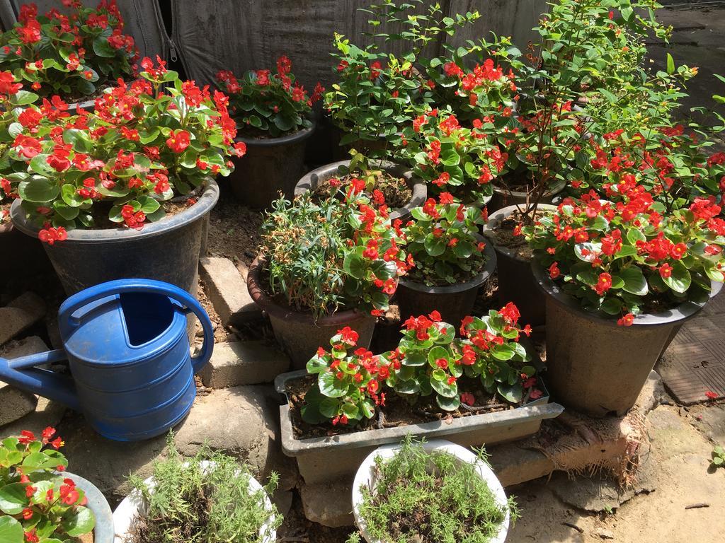 Mk Guesthouse 首爾 外观 照片